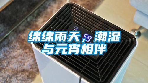 綿綿雨天，潮濕與元宵相伴