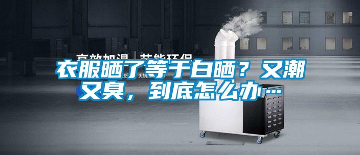 衣服曬了等于白曬？又潮又臭，到底怎么辦…