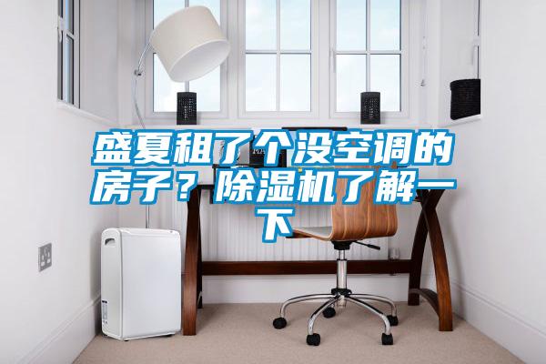 盛夏租了個沒空調(diào)的房子？除濕機(jī)了解一下
