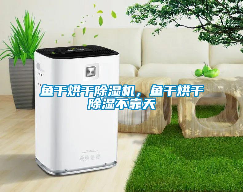 魚干烘干除濕機(jī)，魚干烘干除濕不靠天