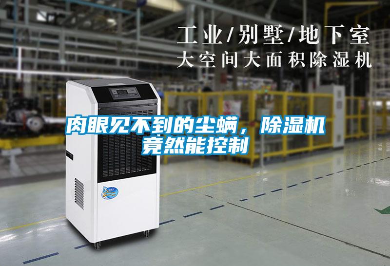 肉眼見(jiàn)不到的塵螨，除濕機(jī)竟然能控制