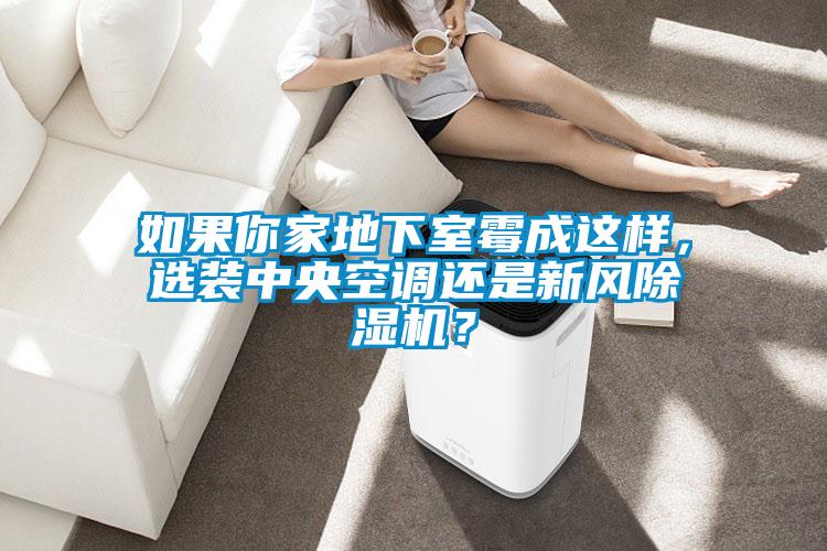 如果你家地下室霉成這樣，選裝中央空調(diào)還是新風(fēng)除濕機？