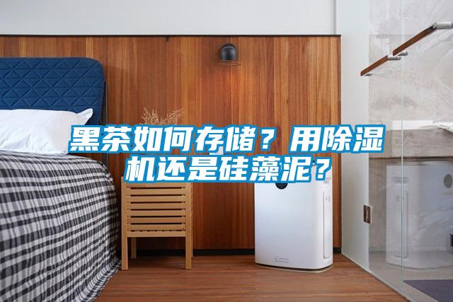 黑茶如何存儲(chǔ)？用除濕機(jī)還是硅藻泥？