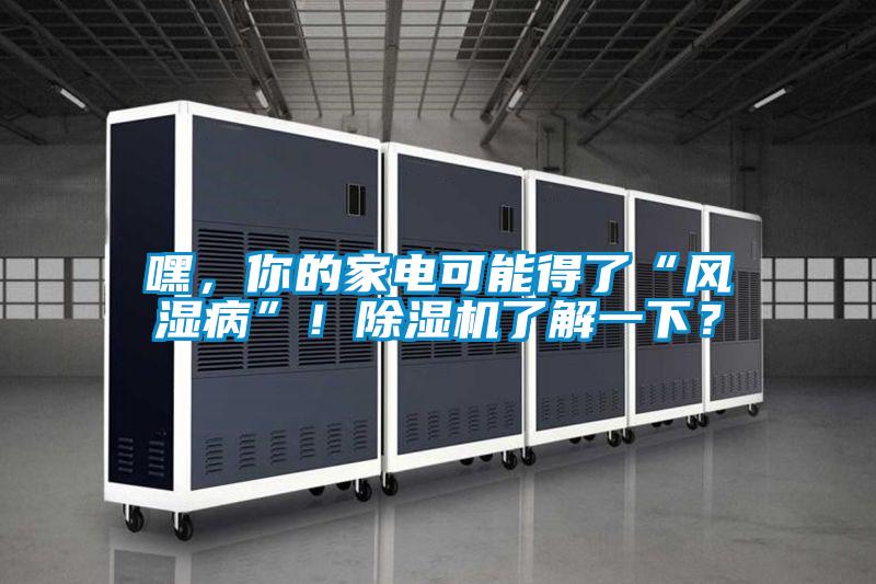 嘿，你的家電可能得了“風(fēng)濕病”！除濕機(jī)了解一下？