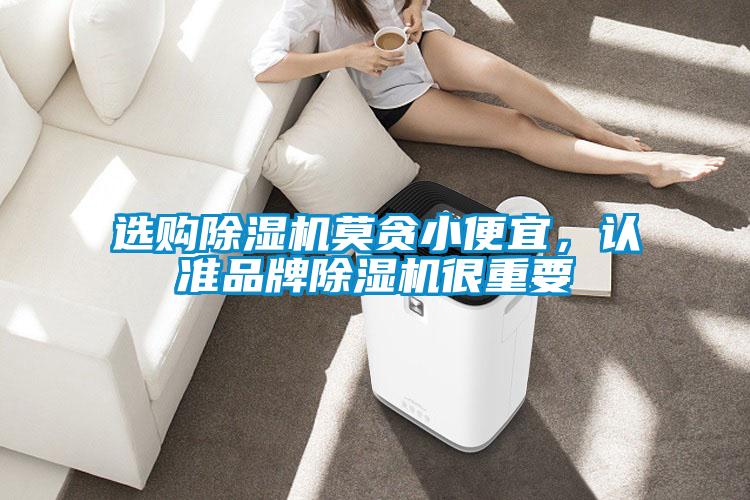 選購除濕機莫貪小便宜，認準品牌除濕機很重要