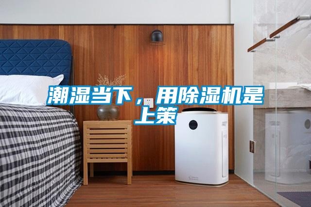 潮濕當(dāng)下，用除濕機(jī)是上策