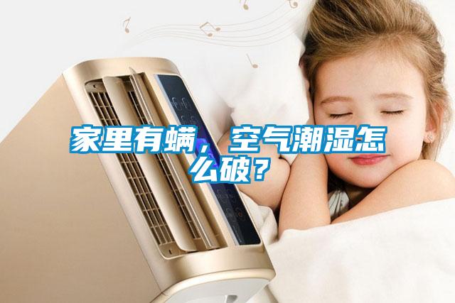 家里有螨，空氣潮濕怎么破？