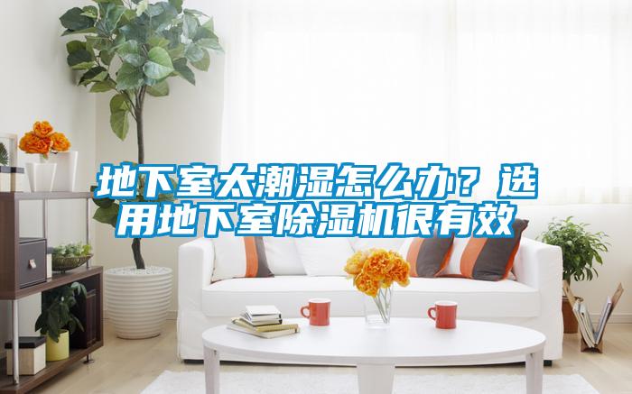 地下室太潮濕怎么辦？選用地下室除濕機(jī)很有效