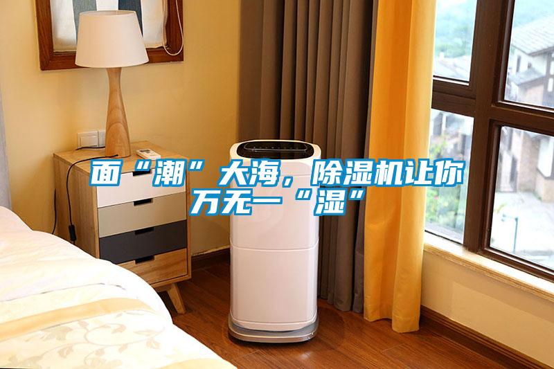 面“潮”大海，除濕機(jī)讓你萬(wàn)無(wú)一“濕”