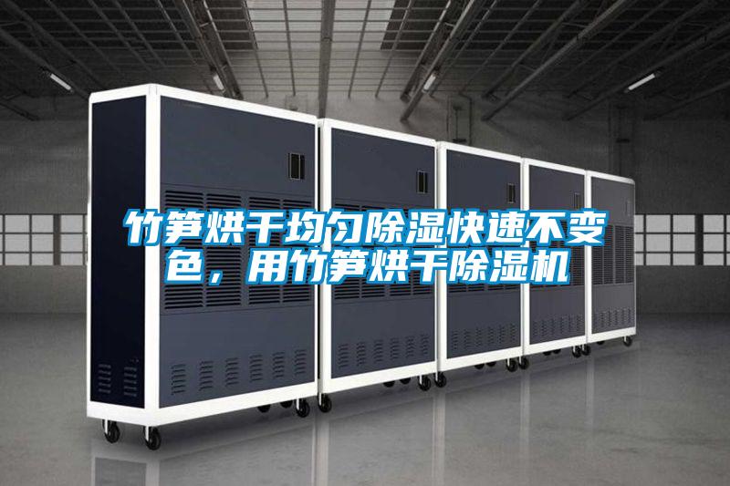 竹筍烘干均勻除濕快速不變色，用竹筍烘干除濕機(jī)