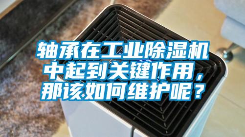 軸承在工業(yè)除濕機(jī)中起到關(guān)鍵作用，那該如何維護(hù)呢？
