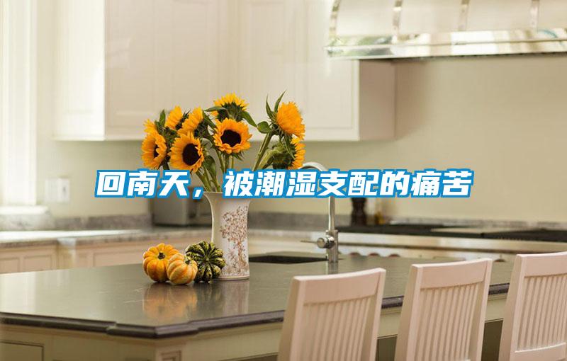 回南天，被潮濕支配的痛苦