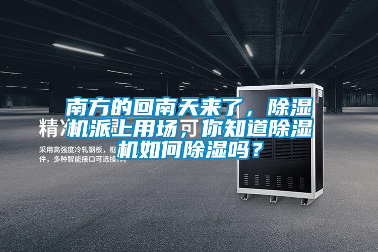 南方的回南天來(lái)了，除濕機(jī)派上用場(chǎng)，你知道除濕機(jī)如何除濕嗎？
