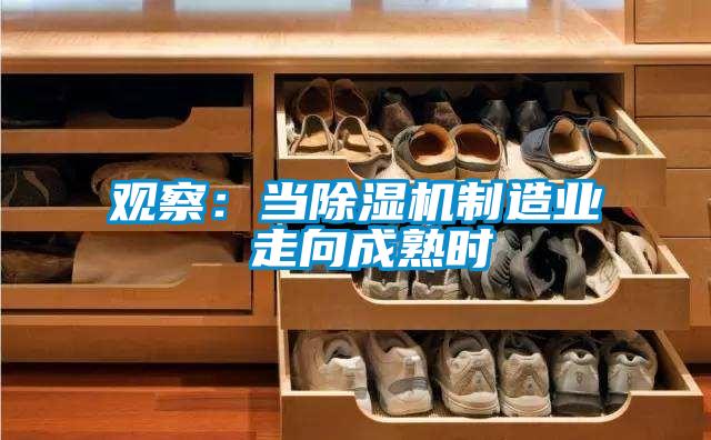 觀察：當除濕機制造業(yè) 走向成熟時