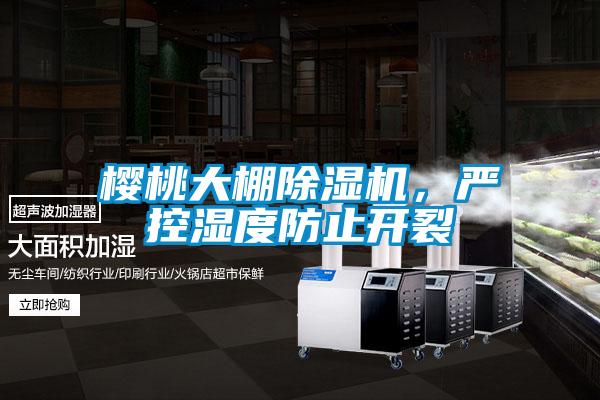 櫻桃大棚除濕機(jī)，嚴(yán)控濕度防止開(kāi)裂