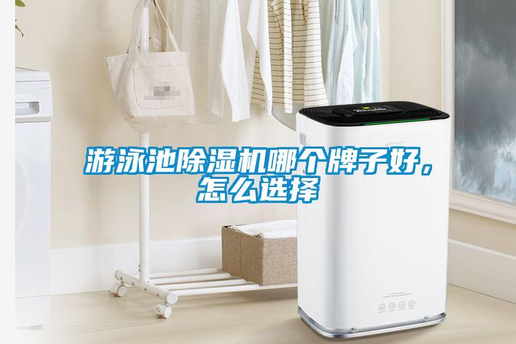 游泳池除濕機哪個牌子好，怎么選擇