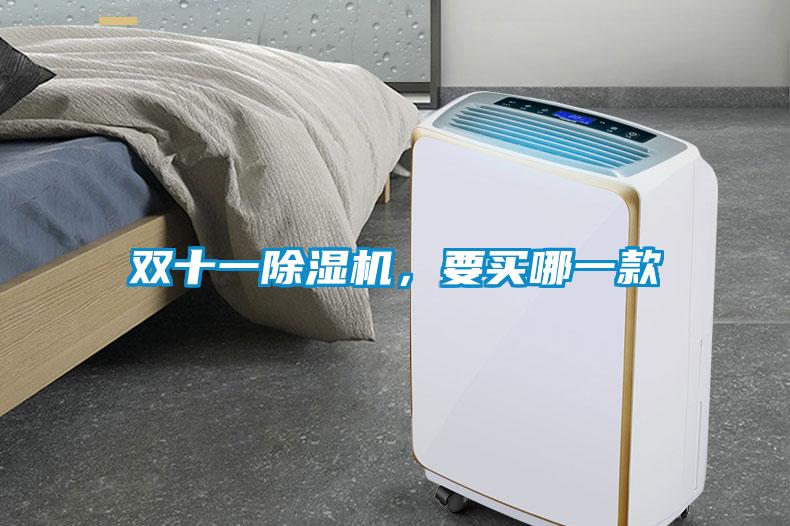 雙十一除濕機(jī)，要買哪一款