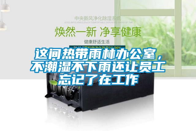 這間熱帶雨林辦公室，不潮濕不下雨還讓員工忘記了在工作
