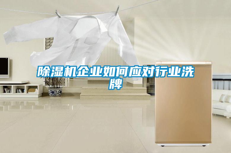除濕機企業(yè)如何應(yīng)對行業(yè)洗牌