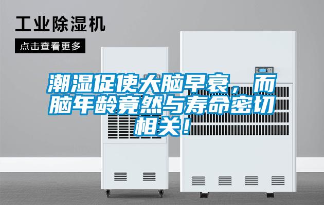 潮濕促使大腦早衰，而腦年齡竟然與壽命密切相關(guān)！