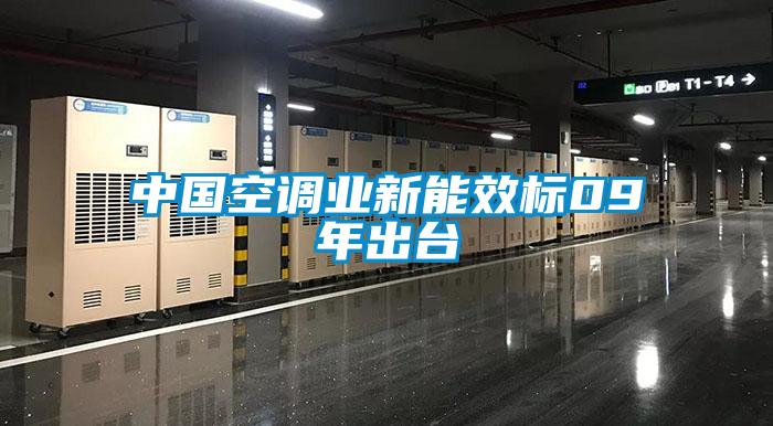 中國空調(diào)業(yè)新能效標(biāo)09年出臺