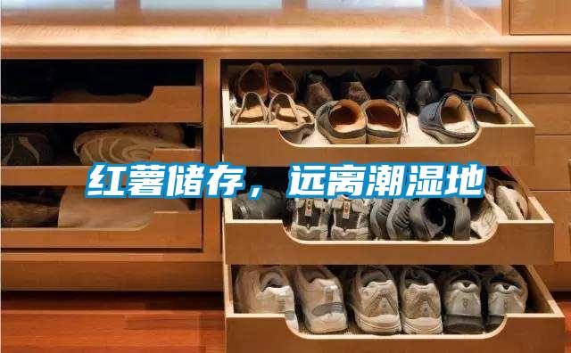 紅薯儲存，遠(yuǎn)離潮濕地