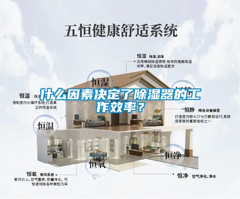 什么因素決定了除濕器的工作效率？