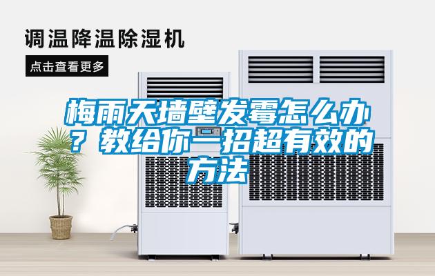 梅雨天墻壁發(fā)霉怎么辦？教給你一招超有效的方法