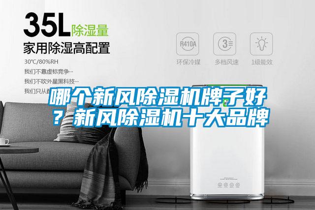 哪個(gè)新風(fēng)除濕機(jī)牌子好？新風(fēng)除濕機(jī)十大品牌