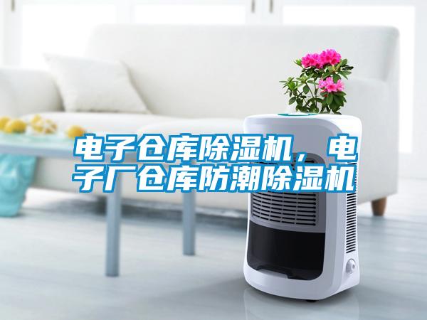 電子倉庫除濕機，電子廠倉庫防潮除濕機