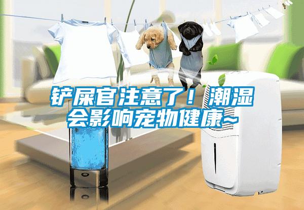 鏟屎官注意了！潮濕會(huì)影響寵物健康~