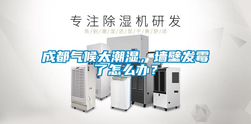 成都?xì)夂蛱睗?，墻壁發(fā)霉了怎么辦？