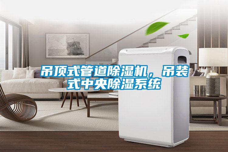 吊頂式管道除濕機，吊裝式中央除濕系統(tǒng)