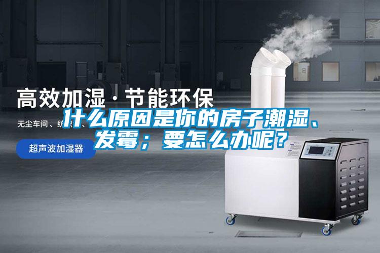 什么原因是你的房子潮濕、發(fā)霉；要怎么辦呢？