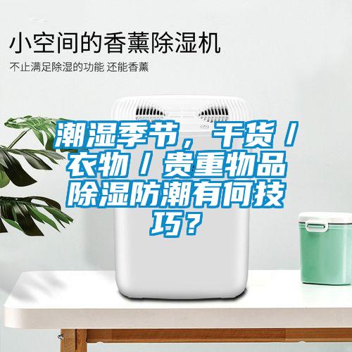 潮濕季節(jié)，干貨／衣物／貴重物品除濕防潮有何技巧？