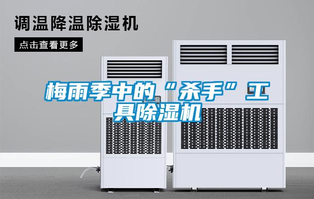 梅雨季中的“殺手”工具除濕機(jī)