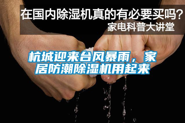杭城迎來臺風(fēng)暴雨，家居防潮除濕機用起來