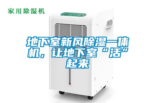 地下室新風(fēng)除濕一體機(jī)，讓地下室“活”起來