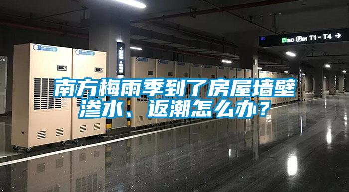南方梅雨季到了房屋墻壁滲水、返潮怎么辦？