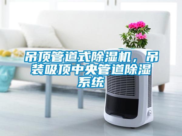 吊頂管道式除濕機(jī)，吊裝吸頂中央管道除濕系統(tǒng)