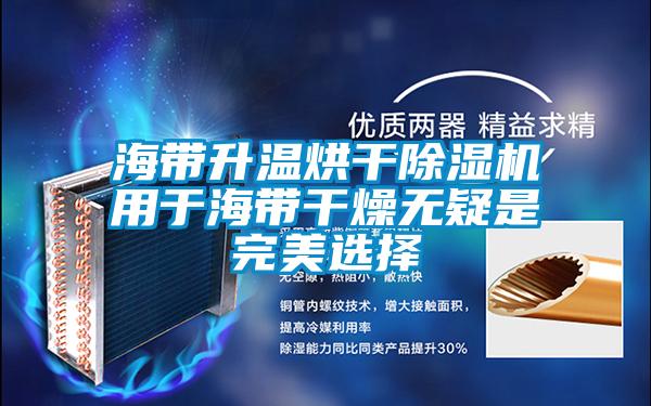 海帶升溫烘干除濕機(jī)用于海帶干燥無(wú)疑是完美選擇