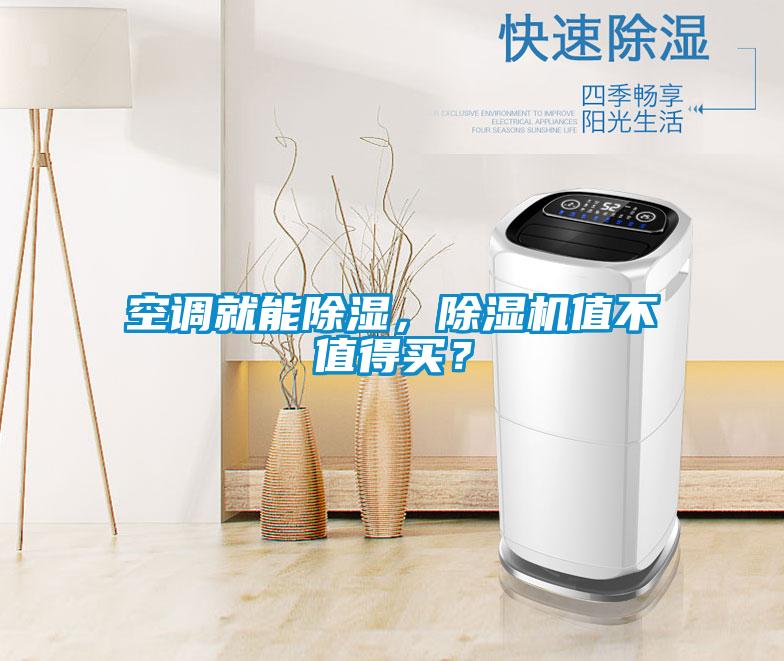 空調(diào)就能除濕，除濕機(jī)值不值得買(mǎi)？