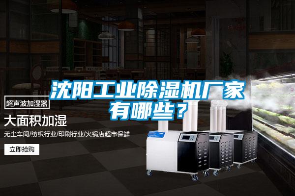 沈陽工業(yè)除濕機(jī)廠家有哪些？