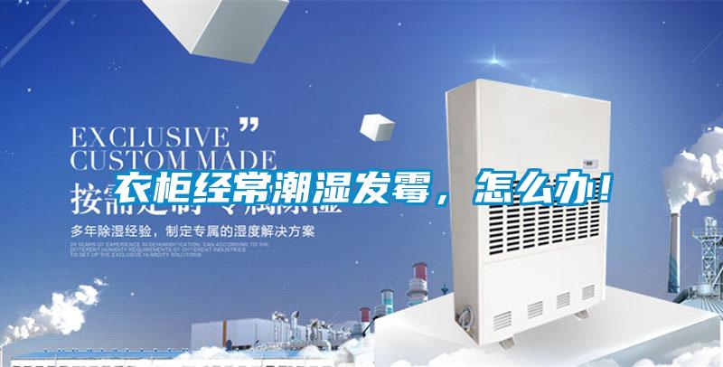 衣柜經(jīng)常潮濕發(fā)霉，怎么辦！