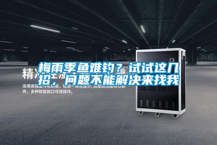 梅雨季魚難釣？試試這幾招，問題不能解決來找我