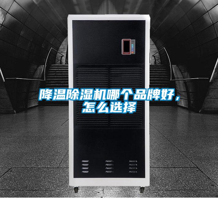 降溫除濕機(jī)哪個(gè)品牌好，怎么選擇