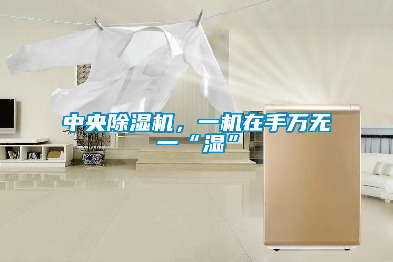 中央除濕機，一機在手萬無一“濕”