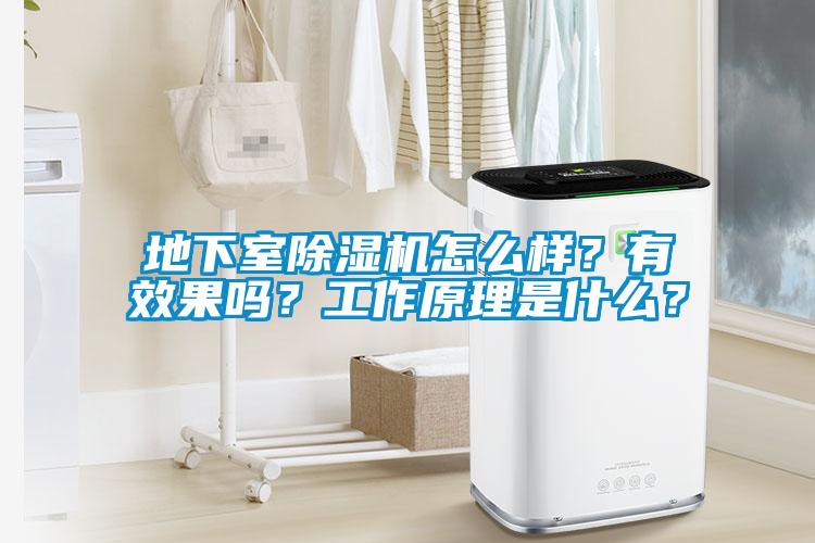 地下室除濕機(jī)怎么樣？有效果嗎？工作原理是什么？