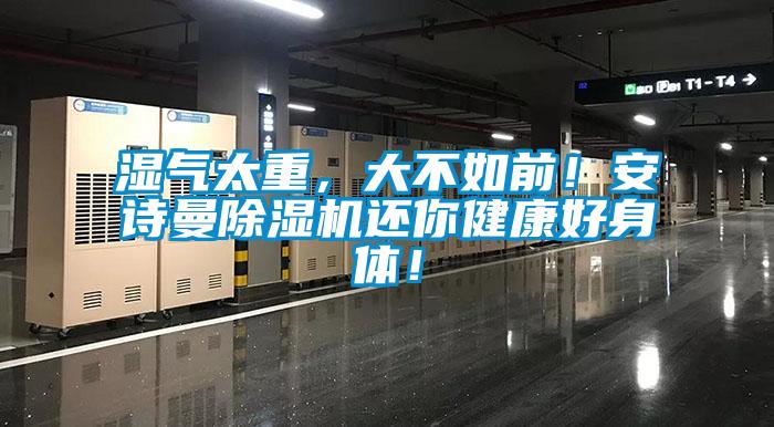 濕氣太重，大不如前！安詩曼除濕機還你健康好身體！