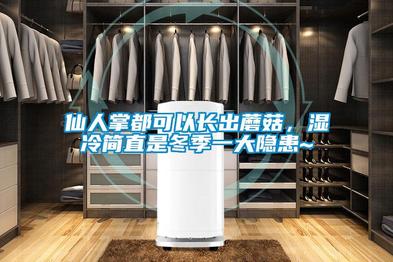 仙人掌都可以長出蘑菇，濕冷簡直是冬季一大隱患~